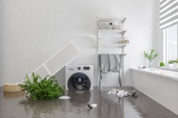 Basement Flooding Services in Welby, Colorado