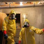 Mold Removal in Aurora, CO (1)