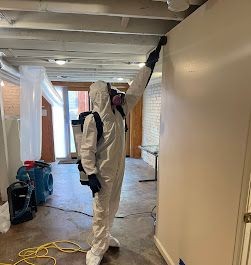 Mold Removal in Denver, CO (1)