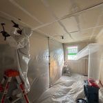 Mold Removal in Lakewood, CO (1)